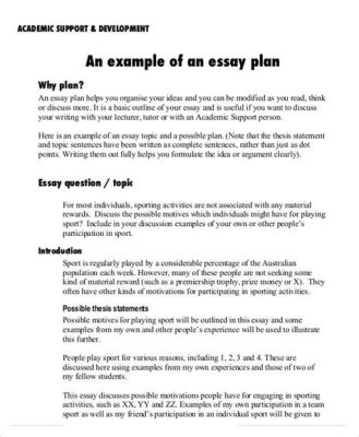 How to Write an Essay Plan: A Detailed Guide with Multiple Perspectives