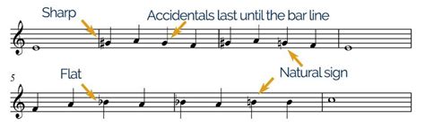 What are Accidentals in Music: An Exploration of Random Elements in the Artistic Spectrum